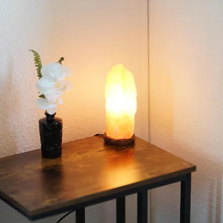 3-zimmer-wohnung / 10min Vom Ice *