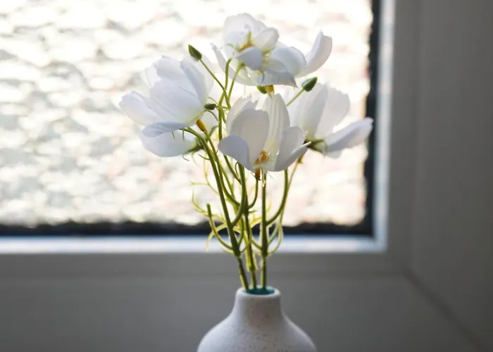 3-zimmer-wohnung / 10min Vom Ice